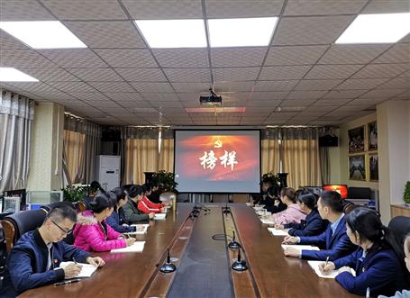 向榜樣看齊，做合格黨員