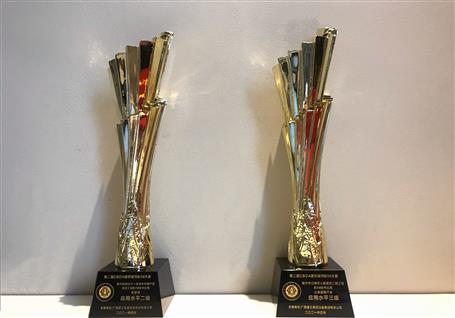 喜訊！公司捧回兩座國家級BIM技術(shù)應(yīng)用獎(jiǎng)杯