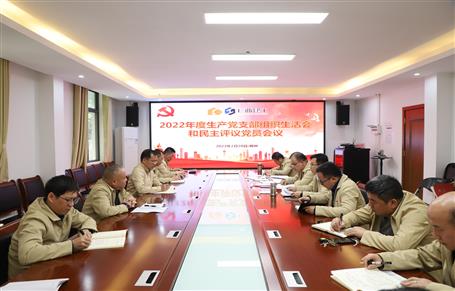 廖立波、唐峰、何勇以普通黨員身份參加所在黨支部2022年度組織生活會